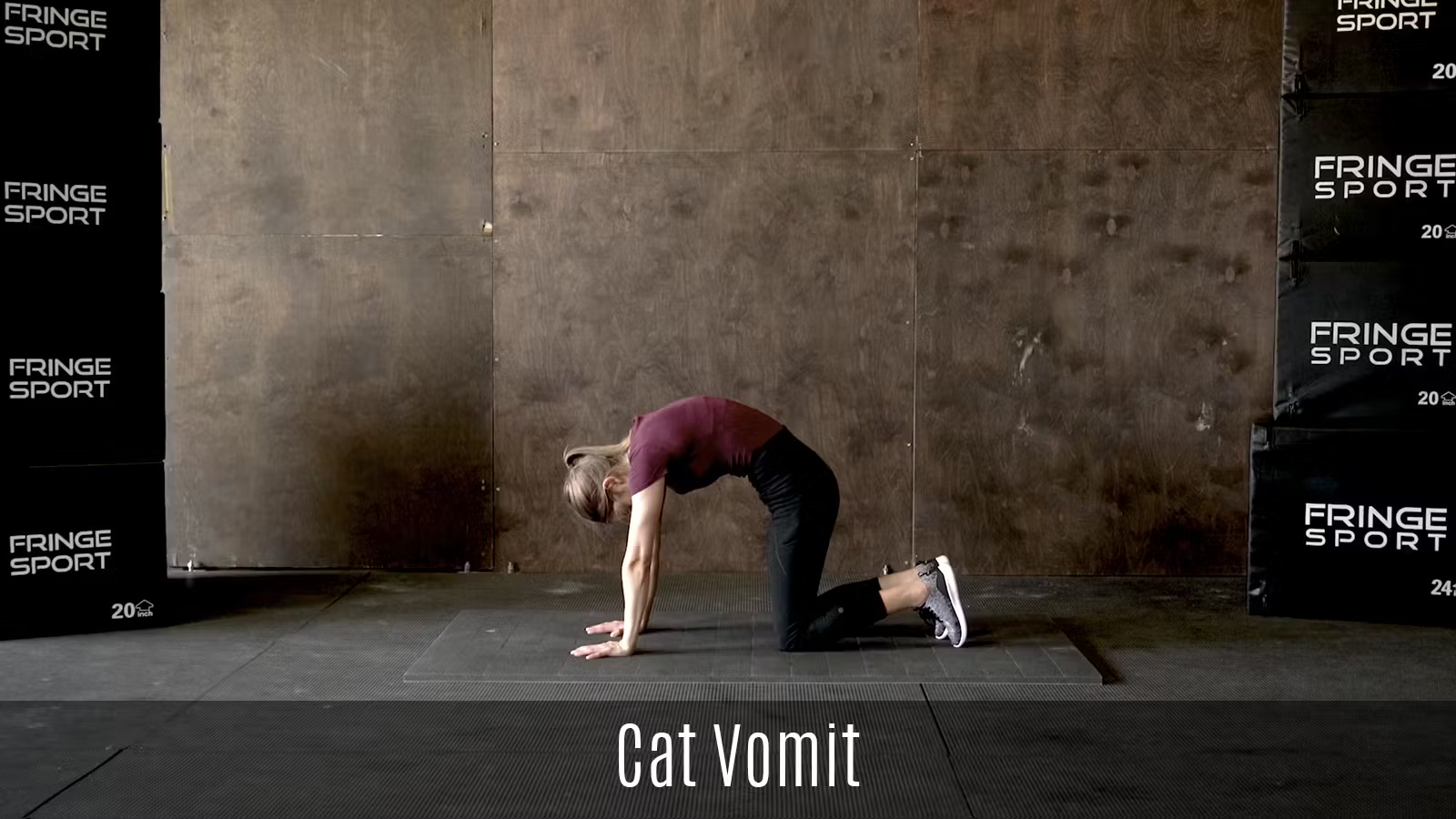 cat-vomit