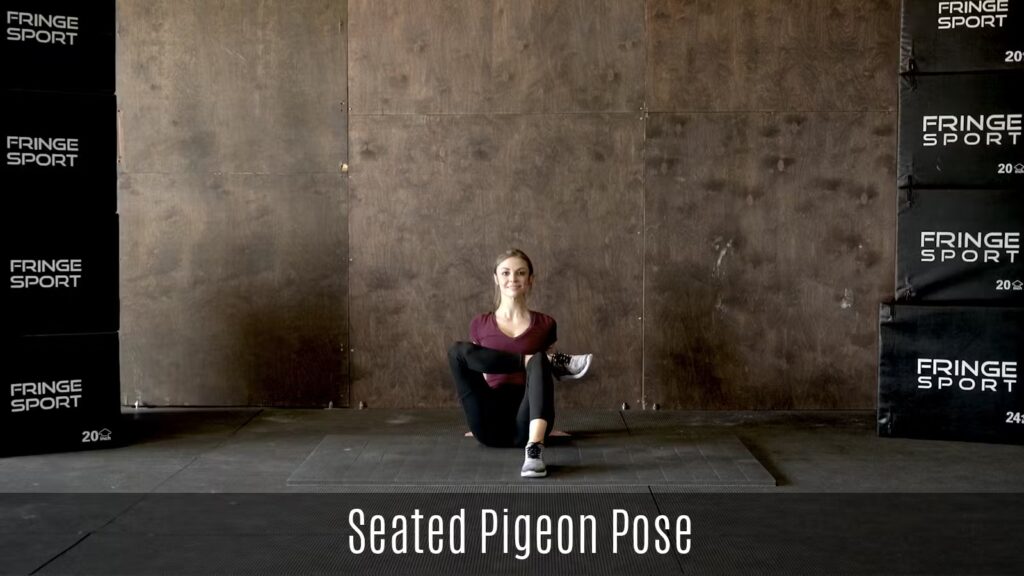 seated-pigeon